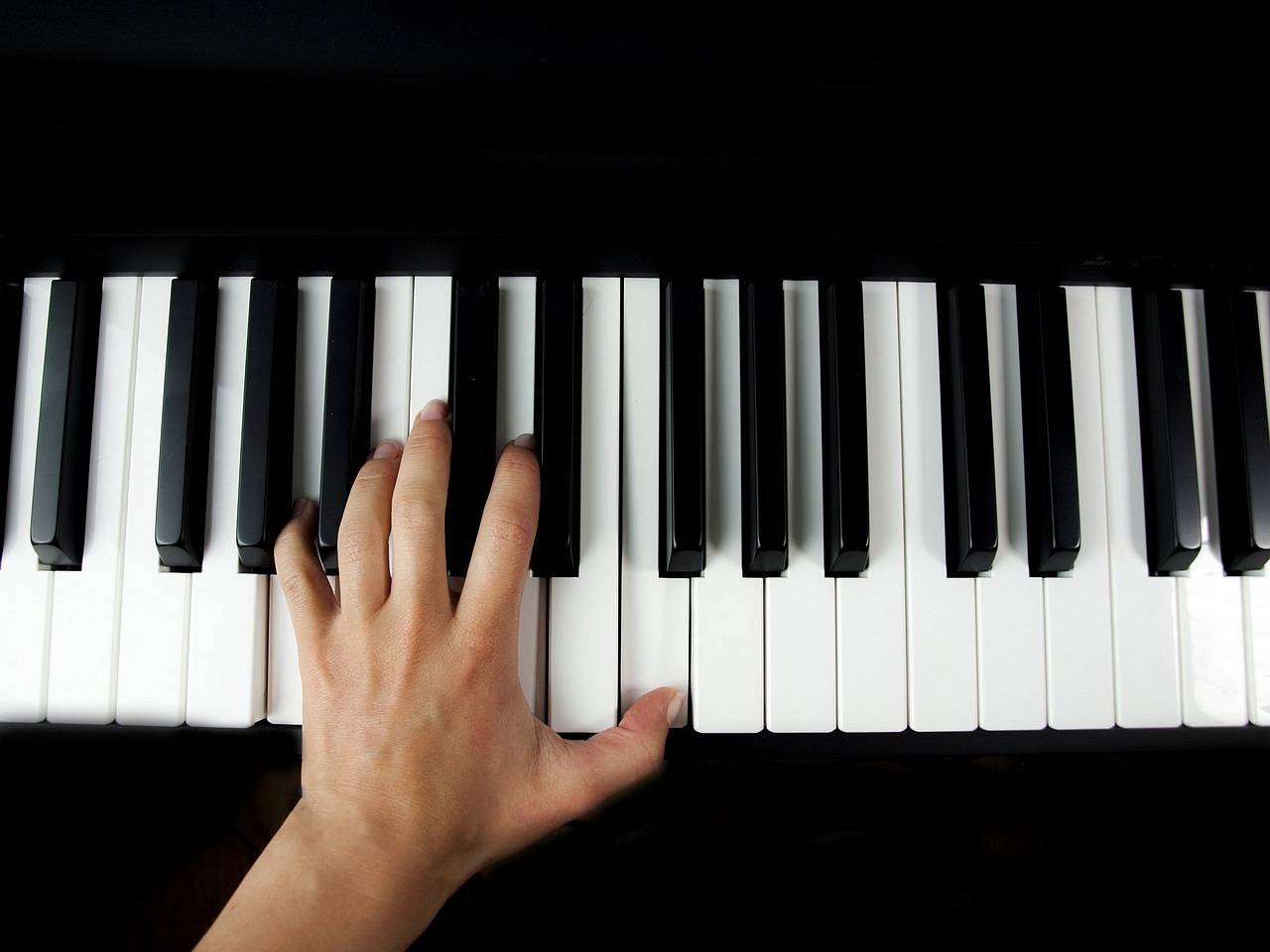 Keyboardy dla początkujących i profesjonalistów